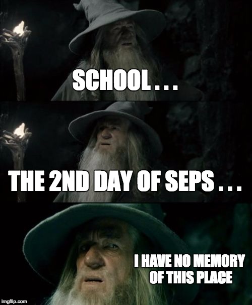 Confused Gandalf Meme | SCHOOL . . . THE 2ND DAY OF SEPS . . . I HAVE NO MEMORY OF THIS PLACE | image tagged in memes,confused gandalf | made w/ Imgflip meme maker