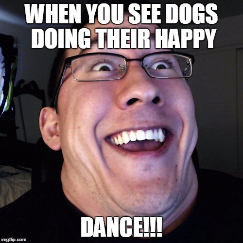 Markiplier | WHEN YOU SEE DOGS DOING THEIR HAPPY; DANCE!!! | image tagged in markiplier | made w/ Imgflip meme maker