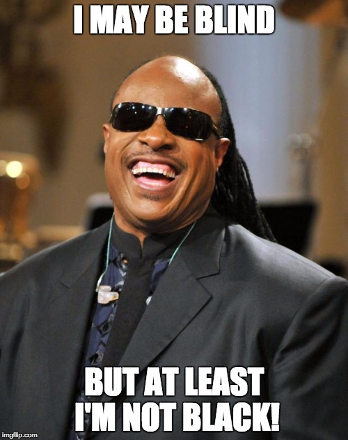 Stevie Wonder |  I MAY BE BLIND; BUT AT LEAST I'M NOT BLACK! | image tagged in stevie wonder | made w/ Imgflip meme maker