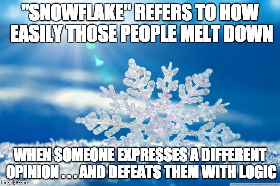 "SNOWFLAKE" REFERS TO HOW EASILY THOSE PEOPLE MELT DOWN WHEN SOMEONE EXPRESSES A DIFFERENT OPINION . . . AND DEFEATS THEM WITH LOGIC | made w/ Imgflip meme maker