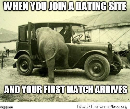 She said she was "curvy" on Match... | WHEN YOU JOIN A DATING SITE; AND YOUR FIRST MATCH ARRIVES | image tagged in fat chick,matchcom | made w/ Imgflip meme maker