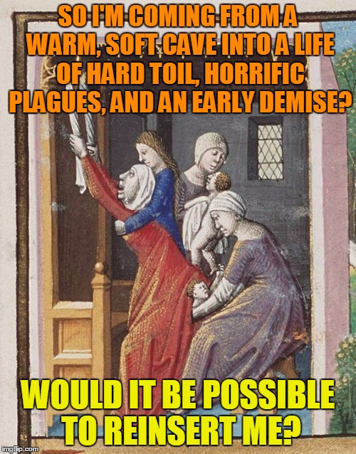 continuous war or mum's innards? um yeah, lemme think about that... |  SO I'M COMING FROM A WARM, SOFT CAVE INTO A LIFE OF HARD TOIL, HORRIFIC PLAGUES, AND AN EARLY DEMISE? WOULD IT BE POSSIBLE TO REINSERT ME? | image tagged in medieval,medieval memes,medieval musings,memes,historical | made w/ Imgflip meme maker