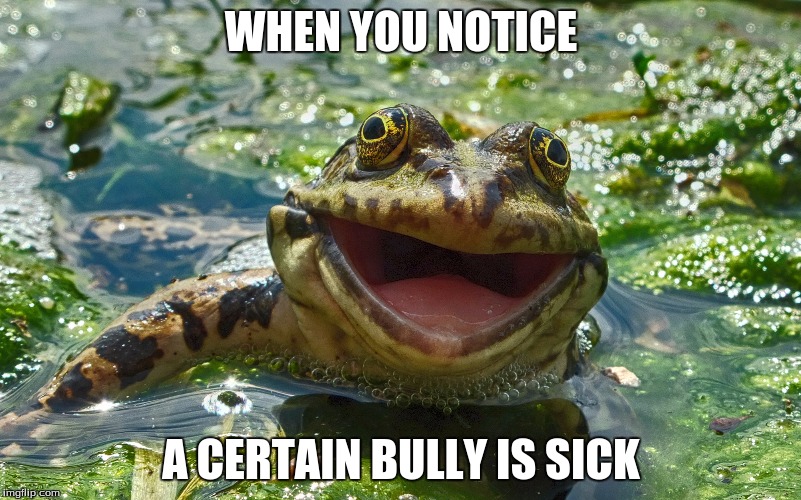 Happy Frog | WHEN YOU NOTICE; A CERTAIN BULLY IS SICK | image tagged in happy frog | made w/ Imgflip meme maker