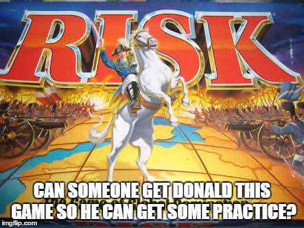 Risk | CAN SOMEONE GET DONALD THIS GAME SO HE CAN GET SOME PRACTICE? | image tagged in risk | made w/ Imgflip meme maker