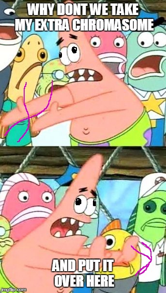 Put It Somewhere Else Patrick Meme | WHY DONT WE TAKE MY EXTRA CHROMASOME; AND PUT IT OVER HERE | image tagged in memes,put it somewhere else patrick,down syndrome | made w/ Imgflip meme maker