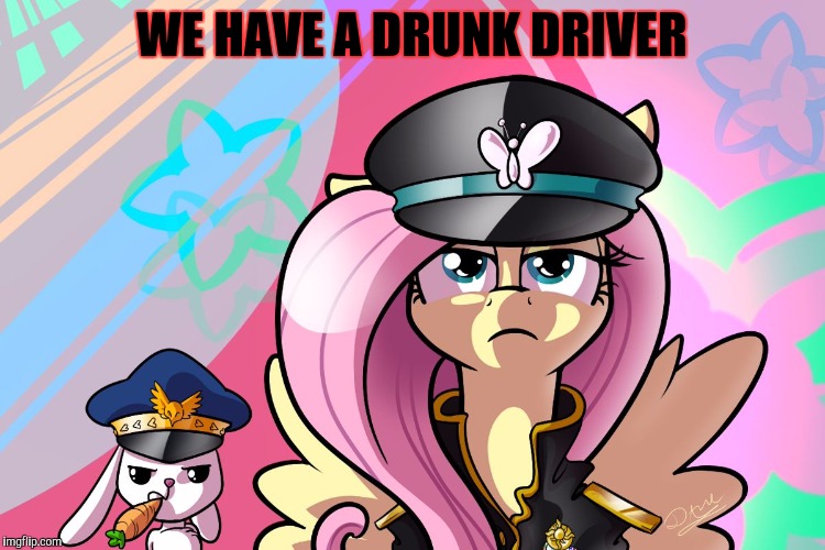 fluttershy and angel | WE HAVE A DRUNK DRIVER | image tagged in fluttershy and angel | made w/ Imgflip meme maker