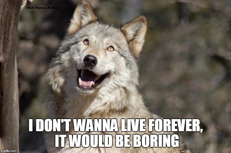 Optimistic Moon Moon Wolf Vanadium Wolf | I DON'T WANNA LIVE FOREVER, IT WOULD BE BORING | image tagged in optimistic moon moon wolf vanadium wolf | made w/ Imgflip meme maker