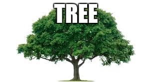TREE | image tagged in tree | made w/ Imgflip meme maker