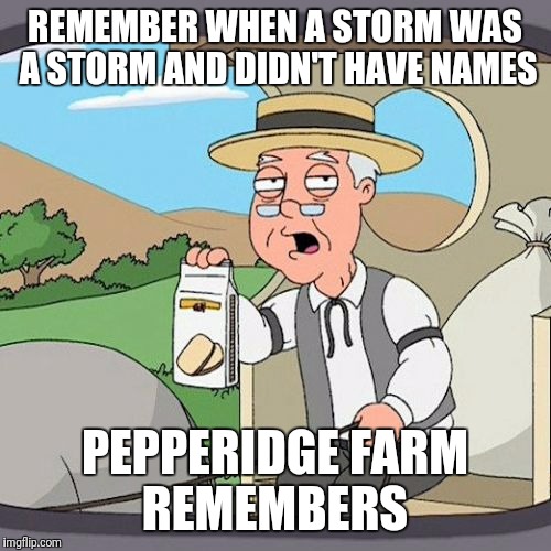 Pepperidge Farm Remembers | REMEMBER WHEN A STORM WAS A STORM AND DIDN'T HAVE NAMES; PEPPERIDGE FARM REMEMBERS | image tagged in memes,pepperidge farm remembers | made w/ Imgflip meme maker