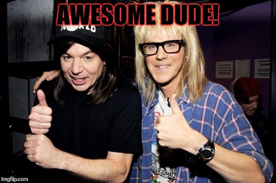 Wayne's world | AWESOME DUDE! | image tagged in wayne's world | made w/ Imgflip meme maker