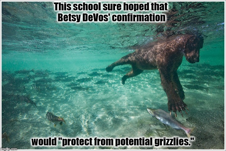 Grizzly Attack on School |  This school sure hoped that Betsy DeVos' confirmation; would "protect from potential grizzlies." | image tagged in grizzlies | made w/ Imgflip meme maker
