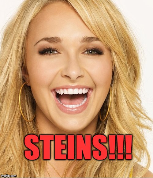 STEINS!!! | made w/ Imgflip meme maker