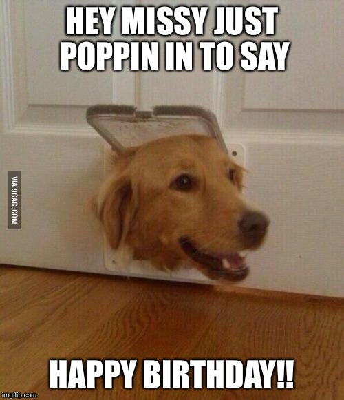 Jim Golden Retriever  | HEY MISSY JUST POPPIN IN TO SAY; HAPPY BIRTHDAY!! | image tagged in jim golden retriever | made w/ Imgflip meme maker