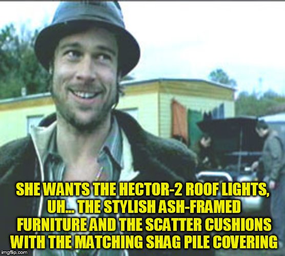 SHE WANTS THE HECTOR-2 ROOF LIGHTS, UH... THE STYLISH ASH-FRAMED FURNITURE AND THE SCATTER CUSHIONS WITH THE MATCHING SHAG PILE COVERING | made w/ Imgflip meme maker