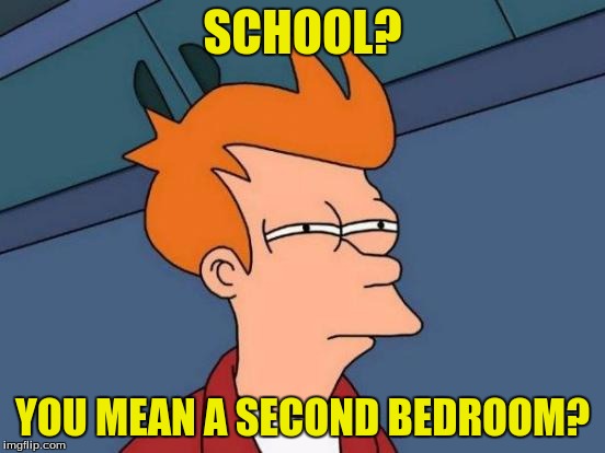 Futurama Fry Meme | SCHOOL? YOU MEAN A SECOND BEDROOM? | image tagged in memes,futurama fry | made w/ Imgflip meme maker