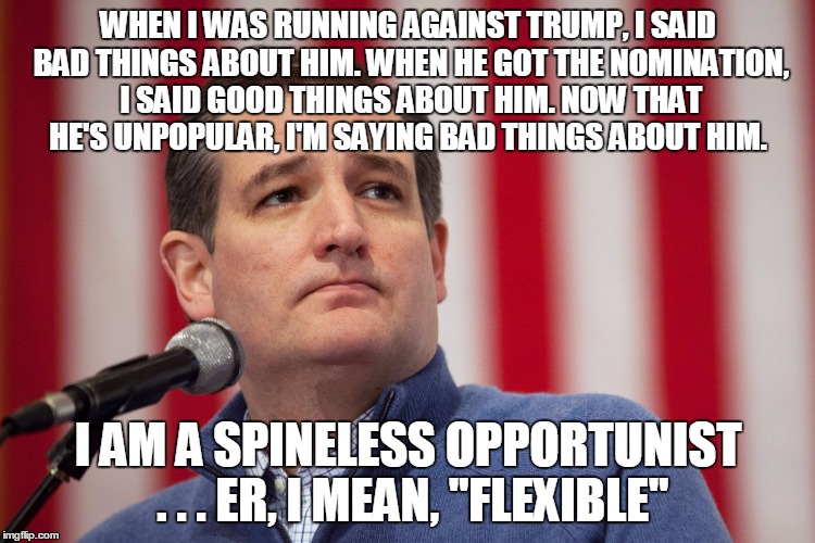WHEN I WAS RUNNING AGAINST TRUMP, I SAID BAD THINGS ABOUT HIM. WHEN HE GOT THE NOMINATION, I SAID GOOD THINGS ABOUT HIM. NOW THAT HE'S UNPOPULAR, I'M SAYING BAD THINGS ABOUT HIM. I AM A SPINELESS OPPORTUNIST . . . ER, I MEAN, "FLEXIBLE" | image tagged in politics | made w/ Imgflip meme maker