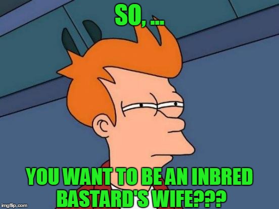 Futurama Fry Meme | SO, ... YOU WANT TO BE AN INBRED BASTARD'S WIFE??? | image tagged in memes,futurama fry | made w/ Imgflip meme maker