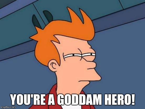 Futurama Fry Meme | YOU'RE A GODDAM HERO! | image tagged in memes,futurama fry | made w/ Imgflip meme maker