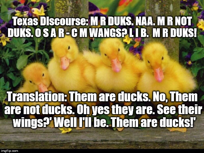 Texas Ducks | Texas Discourse:
M R DUKS.
NAA. M R NOT DUKS.
O S A R - C M WANGS?
L I B.  M R DUKS! Translation: Them are ducks. No, Them are not ducks. Oh yes they are. See their  wings?' Well I'll be. Them are ducks!' | image tagged in texas accent,ducks | made w/ Imgflip meme maker
