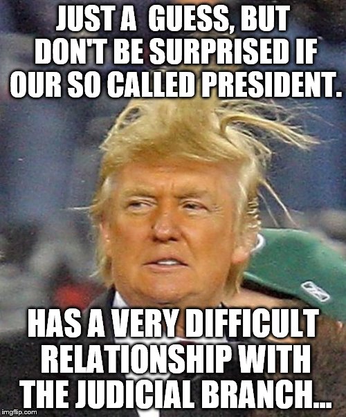 Donald Trumph hair | JUST A  GUESS, BUT DON'T BE SURPRISED IF OUR SO CALLED PRESIDENT. HAS A VERY DIFFICULT RELATIONSHIP WITH THE JUDICIAL BRANCH... | image tagged in donald trumph hair | made w/ Imgflip meme maker