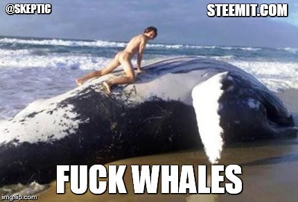 STEEMIT.COM; @SKEPTIC; FUCK WHALES | made w/ Imgflip meme maker
