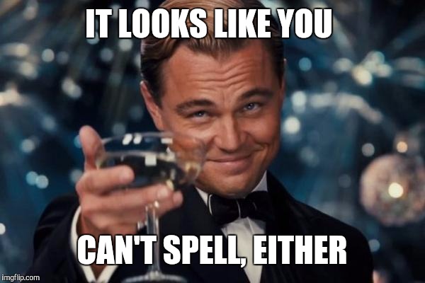 Leonardo Dicaprio Cheers Meme | IT LOOKS LIKE YOU CAN'T SPELL, EITHER | image tagged in memes,leonardo dicaprio cheers | made w/ Imgflip meme maker