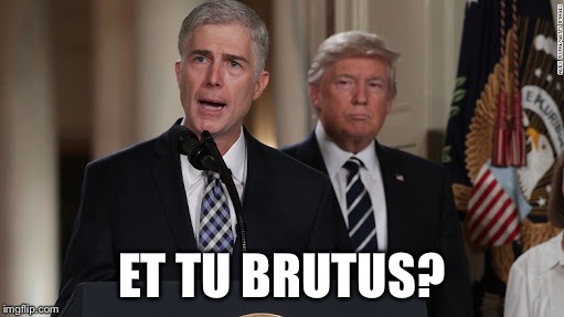 GorSuch a traitor!! | ET TU BRUTUS? | image tagged in gorsucks,gorsuch a traitor,trump gorsuch | made w/ Imgflip meme maker