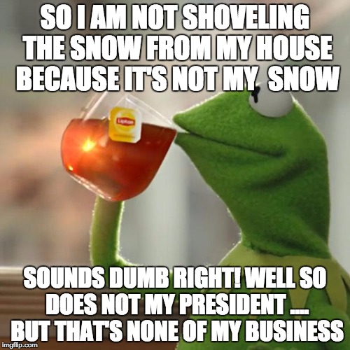 But That's None Of My Business | SO I AM NOT SHOVELING THE SNOW FROM MY HOUSE BECAUSE IT'S NOT MY  SNOW; SOUNDS DUMB RIGHT! WELL SO DOES NOT MY PRESIDENT .... BUT THAT'S NONE OF MY BUSINESS | image tagged in memes,but thats none of my business,kermit the frog | made w/ Imgflip meme maker