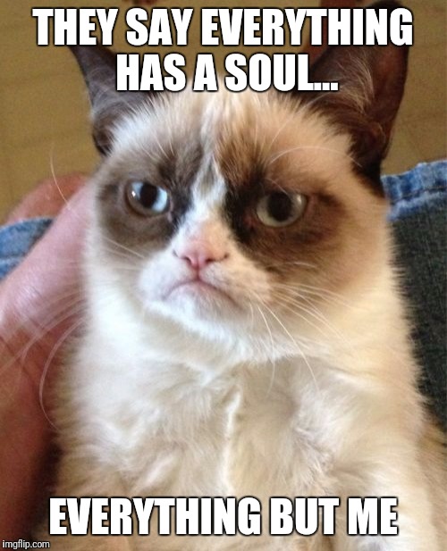 Grumpy Cat | THEY SAY EVERYTHING HAS A SOUL... EVERYTHING BUT ME | image tagged in memes,grumpy cat | made w/ Imgflip meme maker