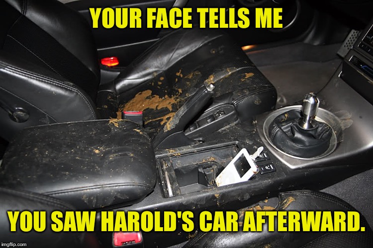 YOUR FACE TELLS ME YOU SAW HAROLD'S CAR AFTERWARD. | made w/ Imgflip meme maker