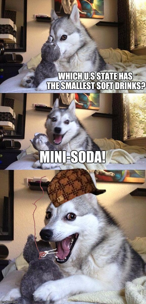 Bad Pun Dog Meme | WHICH U.S STATE HAS THE SMALLEST SOFT DRINKS? MINI-SODA! | image tagged in memes,bad pun dog,scumbag | made w/ Imgflip meme maker