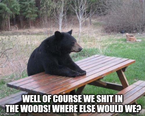 Bad Luck Bear | WELL OF COURSE WE SHIT IN THE WOODS! WHERE ELSE WOULD WE? | image tagged in memes,bad luck bear | made w/ Imgflip meme maker