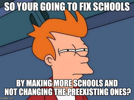 Futurama Fry | SO YOUR GOING TO FIX SCHOOLS; BY MAKING MORE SCHOOLS AND NOT CHANGING THE PREEXISTING ONES? | image tagged in memes,futurama fry | made w/ Imgflip meme maker