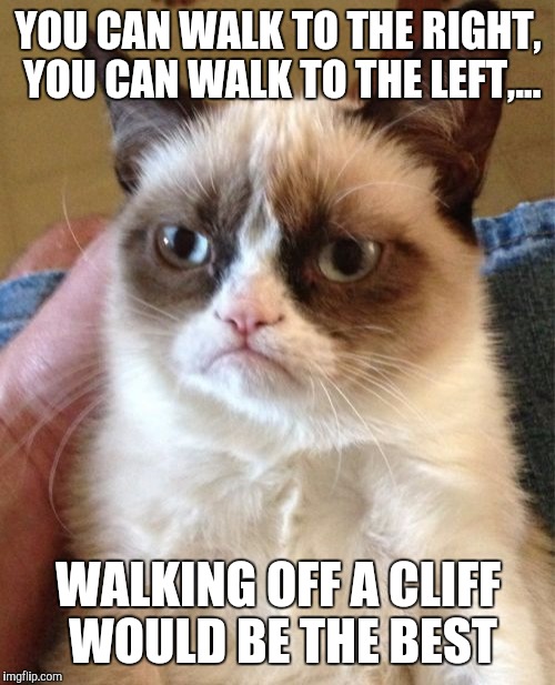 Grumpy Cat Meme | YOU CAN WALK TO THE RIGHT, YOU CAN WALK TO THE LEFT,... WALKING OFF A CLIFF WOULD BE THE BEST | image tagged in memes,grumpy cat | made w/ Imgflip meme maker