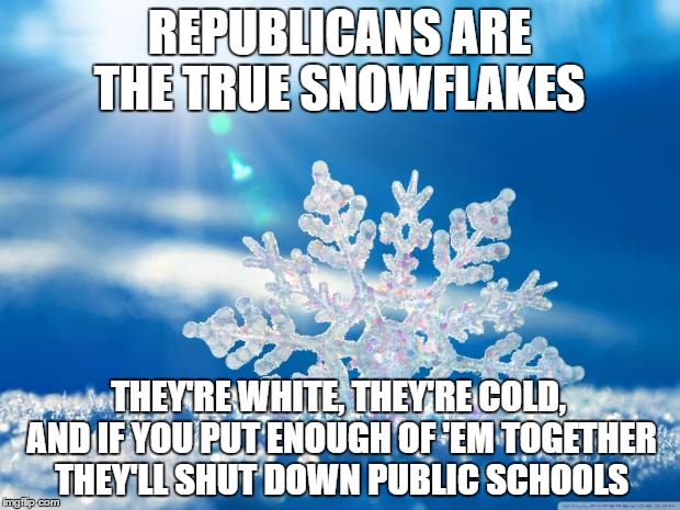 snowflake | REPUBLICANS ARE THE TRUE SNOWFLAKES; THEY'RE WHITE, THEY'RE COLD, AND IF YOU PUT ENOUGH OF 'EM TOGETHER THEY'LL SHUT DOWN PUBLIC SCHOOLS | image tagged in snowflake | made w/ Imgflip meme maker