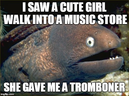 If you know what I mean... | I SAW A CUTE GIRL WALK INTO A MUSIC STORE; SHE GAVE ME A TROMBONER | image tagged in memes,bad joke eel,trhtimmy | made w/ Imgflip meme maker