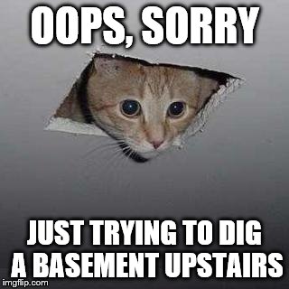 Sweet home improvement | OOPS, SORRY; JUST TRYING TO DIG A BASEMENT UPSTAIRS | image tagged in memes,ceiling cat | made w/ Imgflip meme maker