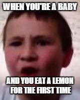 can we please make baby tyler a popular meme | WHEN YOU'RE A BABY; AND YOU EAT A LEMON FOR THE FIRST TIME | image tagged in baby tyler | made w/ Imgflip meme maker