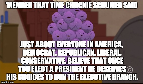 Hypocrisy thy name is Chuckie Schumer . . . | 'MEMBER THAT TIME CHUCKIE SCHUMER SAID; JUST ABOUT EVERYONE IN AMERICA, DEMOCRAT, REPUBLICAN, LIBERAL, CONSERVATIVE, BELIEVE THAT ONCE YOU ELECT A PRESIDENT HE DESERVES HIS CHOICES TO RUN THE EXECUTIVE BRANCH. | image tagged in member berries | made w/ Imgflip meme maker