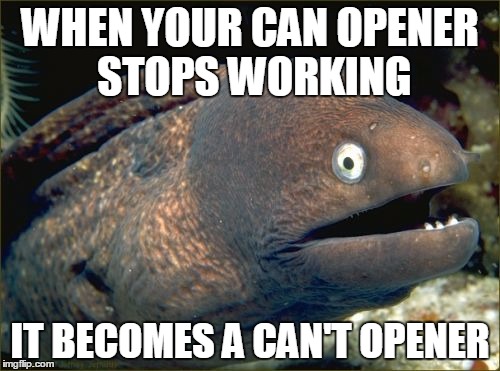 Bad Joke Eel Meme | WHEN YOUR CAN OPENER STOPS WORKING; IT BECOMES A CAN'T OPENER | image tagged in memes,bad joke eel | made w/ Imgflip meme maker