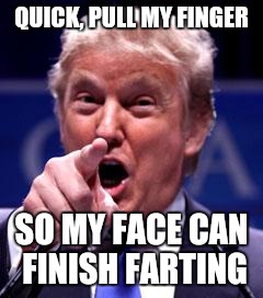 Trump Trademark | QUICK, PULL MY FINGER; SO MY FACE CAN FINISH FARTING | image tagged in trump trademark | made w/ Imgflip meme maker