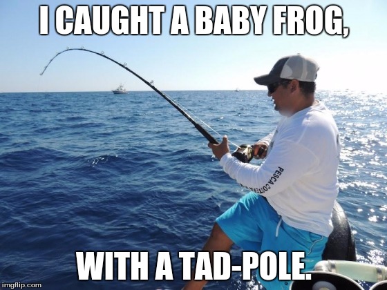Fishing Memes Gifs Imgflip, Fishing In Bathtub Meme