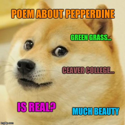 Doge | POEM ABOUT PEPPERDINE; GREEN GRASS... CEAVER COLLEGE... IS REAL? MUCH BEAUTY | image tagged in memes,doge | made w/ Imgflip meme maker
