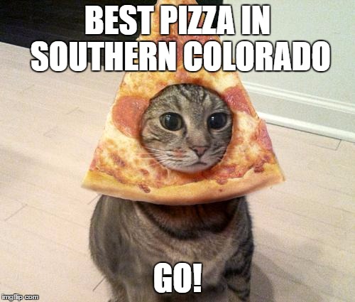 pizza cat | BEST PIZZA IN SOUTHERN COLORADO; GO! | image tagged in pizza cat | made w/ Imgflip meme maker