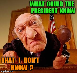 Mean Judge | WHAT  COULD  THE  PRESIDENT  KNOW; THAT   I   DON'T   KNOW  ? | image tagged in mean judge | made w/ Imgflip meme maker