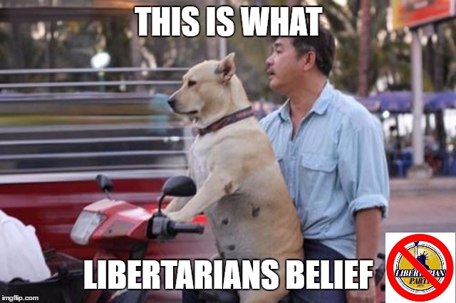 This Is What Libertarians Believe | THIS IS WHAT; LIBERTARIANS BELIEF | image tagged in libertarian,libertarians,gary johnson,libertarian party,third party,memes | made w/ Imgflip meme maker