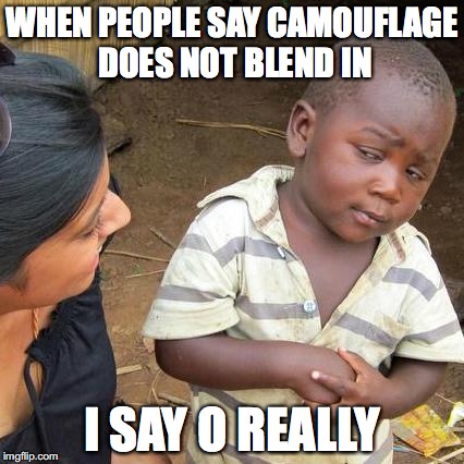 Third World Skeptical Kid Meme | WHEN PEOPLE SAY CAMOUFLAGE DOES NOT BLEND IN; I SAY O REALLY | image tagged in memes,third world skeptical kid | made w/ Imgflip meme maker