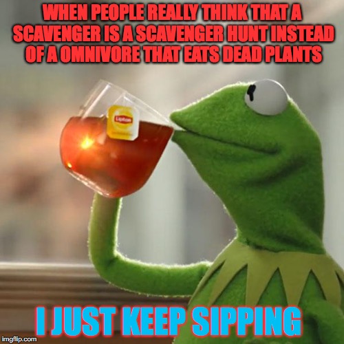 But That's None Of My Business Meme | WHEN PEOPLE REALLY THINK THAT A SCAVENGER IS A SCAVENGER HUNT INSTEAD OF A OMNIVORE THAT EATS DEAD PLANTS; I JUST KEEP SIPPING | image tagged in memes,but thats none of my business,kermit the frog | made w/ Imgflip meme maker