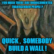YOU MEAN THERE  ARE UNDOCUMENTED TRANSGENDER PEOPLE ? QUICK ,  SOMEBODY BUILD A WALL ! | made w/ Imgflip meme maker