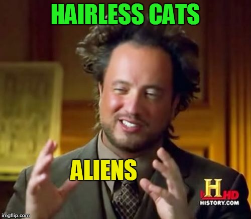 Ancient Aliens Meme | HAIRLESS CATS ALIENS | image tagged in memes,ancient aliens | made w/ Imgflip meme maker